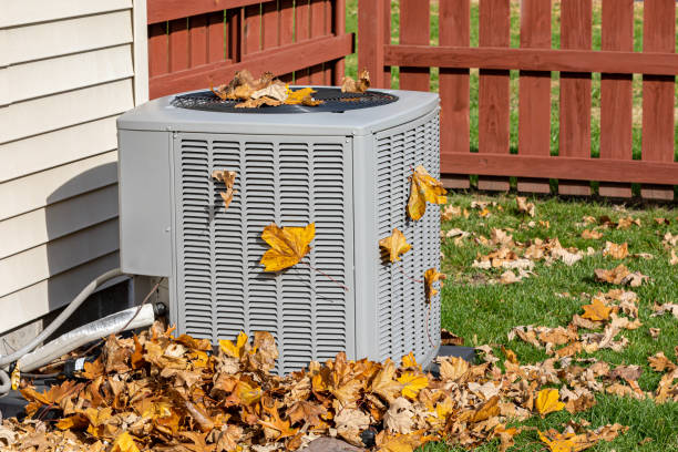 Best HVAC air duct cleaning  in Ely, MN