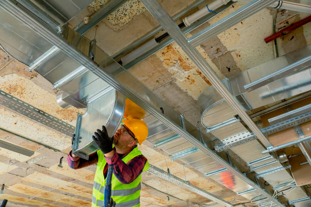 Best HVAC air duct cleaning  in Ely, MN